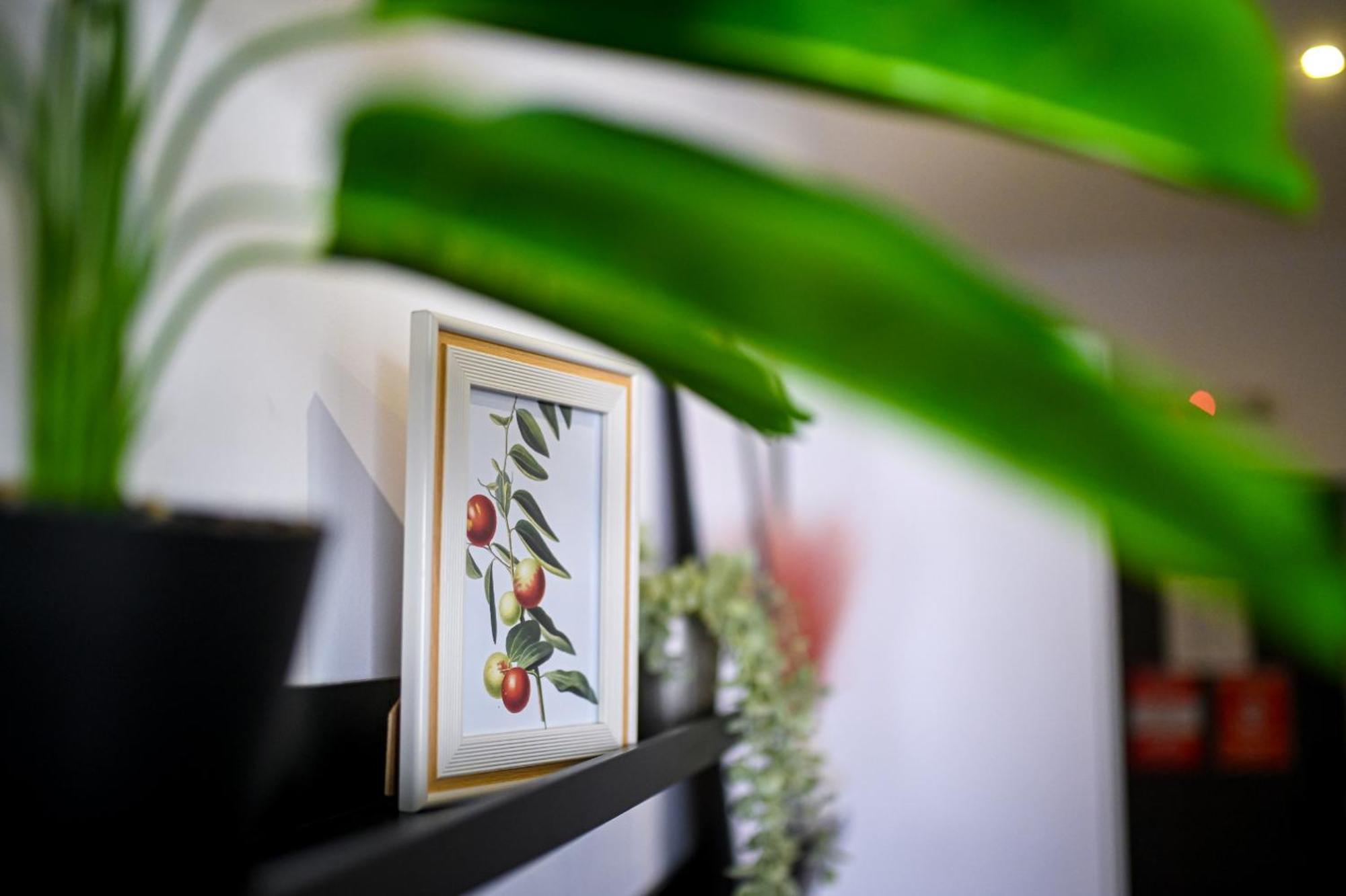 Urban Elegance - Stylish Central Accommodation บูคาเรสต์ ห้อง รูปภาพ